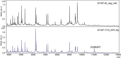 A Full MALDI-Based Approach to Detect Plasmid-Encoded KPC-Producing Klebsiella pneumoniae